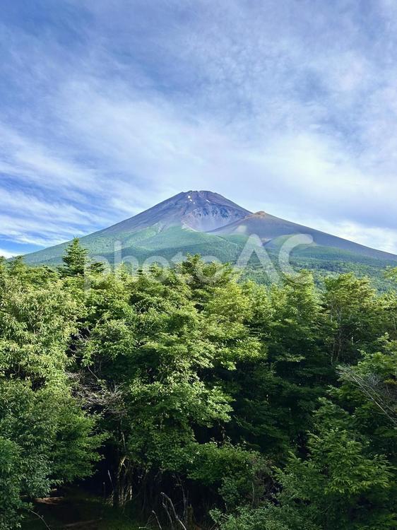大空と富士山と森 富士山,森林,新緑の写真素材