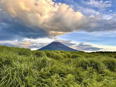 草むらから見る夏の富士山と雲 草むらから見る夏の富士山と雲の写真