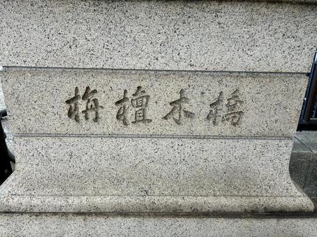 栴檀木橋(せんだんのきばし) 栴檀木橋(せんだんのきばし) 背景,でこぼこ,ごつごつの写真素材