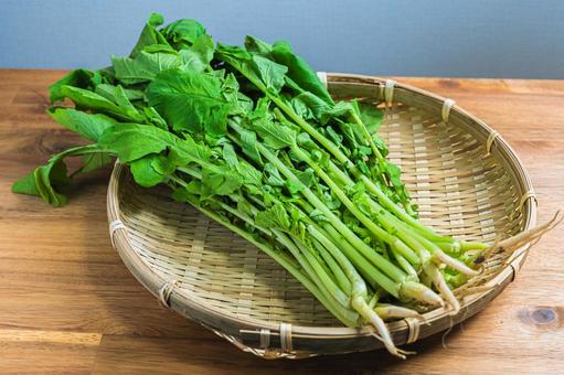 竹ざるに乗った葉大根 大根菜,野菜,葉大根の写真素材