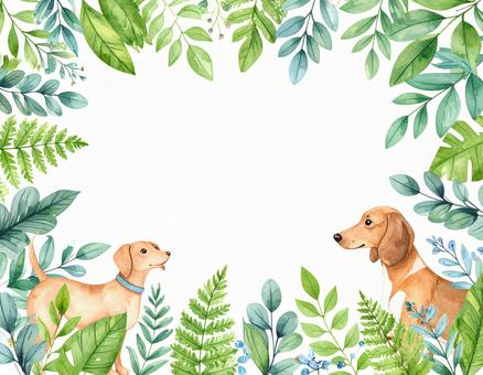 犬と植物のフレーム 犬と植物のフレームの写真