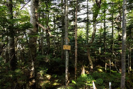 蓼科山 前掛山 前掛山,蓼科山,八ヶ岳連峰の写真素材