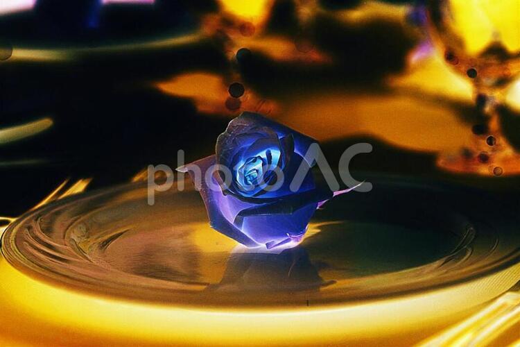 お皿の上のバラ お皿,バラ,花の写真素材