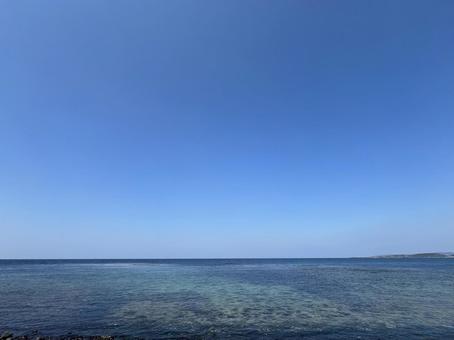 海② 海②の写真