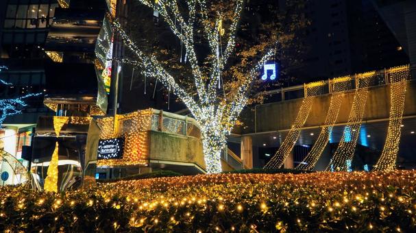 池袋駅前クリスマス・池袋西口公園・豊島区 クリスマス,イルミネーション,池袋西口公園の写真素材