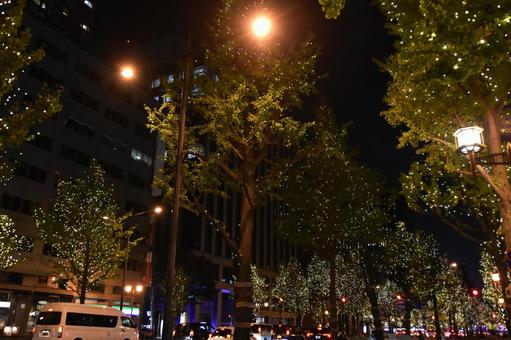 御堂筋イルミネーション 御堂筋,イルミネーション,夜景の写真素材