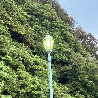 Photo, street light, external light, street lights, 