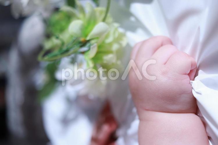 花を握る赤ちゃんの手 赤ちゃん,花,握るの写真素材