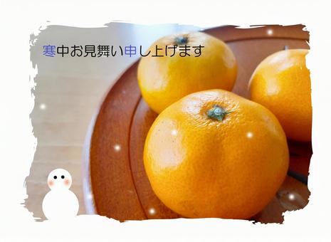 寒中見舞いのハガキ みかん,並んだミカン,果物の写真素材