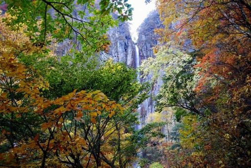 Photo, shinshu, suzaka, yonago waterfall, 