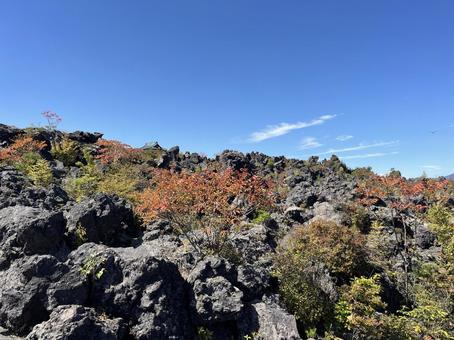 鬼押出し園 鬼押出し園 浅間山,溶岩,群馬の写真素材