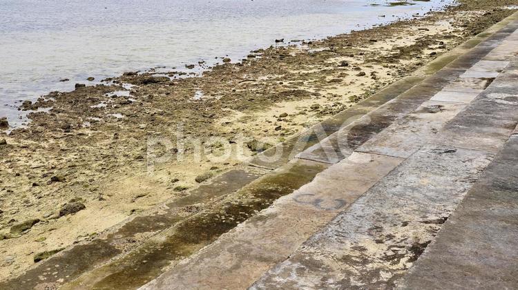 沖縄県八重山諸島西表島　上原港近くの浜辺 浜辺,西表島,海の写真素材