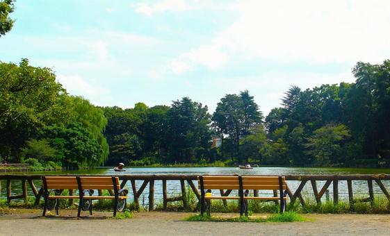 Photo, park, pool, bench, 