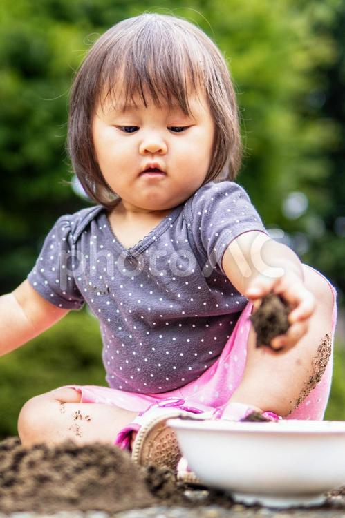 砂場で遊ぶ子ども　フリー素材無料素材写真イメージ 砂遊び,泥遊び,子供の写真素材