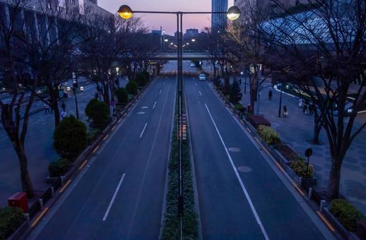 夕暮れ時の西新宿 西新宿,新宿,夕暮れ時の写真素材