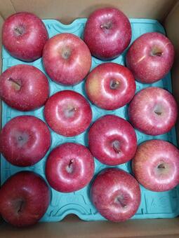 りんごギフト　優１４玉 空き箱,箱,贈答品の写真素材