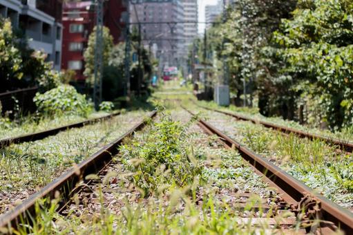 草の生えた電車の路線 草の生えた電車の路線の写真