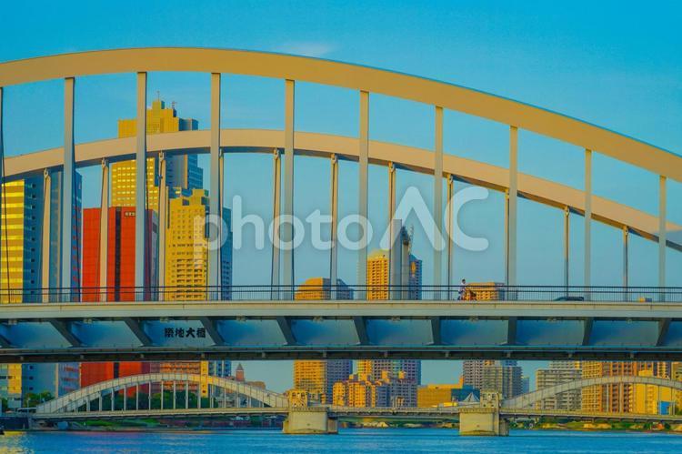 築地大橋と夕景 築地大橋,築地,青空の写真素材