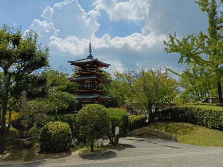 日本庭園01 日本庭園01の写真