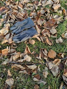 初冬のある暖かい日④ 冬,初冬,手袋の写真素材