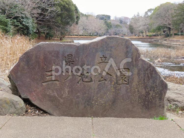 三ツ池公園　入口　石碑 三ツ池公園,三ッ池公園,三池公園の写真素材