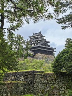 緑に囲まれた松江城の勇姿 緑に囲まれた松江城の勇姿 松江城,日本の城,国宝の写真素材