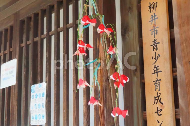 【山口県】柳井の白壁の町並み 重要伝統的建造物群保存地区,町並み,山口の写真素材
