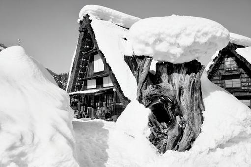 雪の白川郷 雪の白川郷 白黒,茅葺屋根,家の写真素材