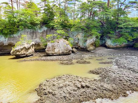 松島の海岸 松島,海,白い雲の写真素材