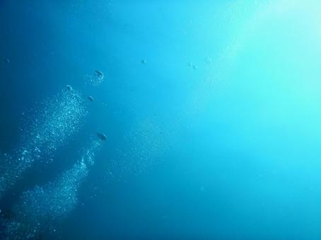 海中写真 海中写真の写真