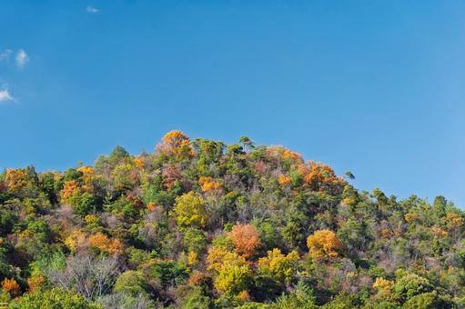 野山の錦 野山の錦 雑木紅葉,秋の色,秋の光の写真素材
