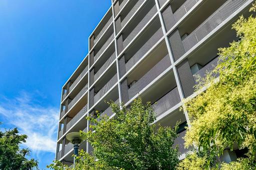 緑の街路樹も美しい分譲マンション 緑の街路樹も美しい分譲マンション 集合住宅,マンション,見上げるの写真素材
