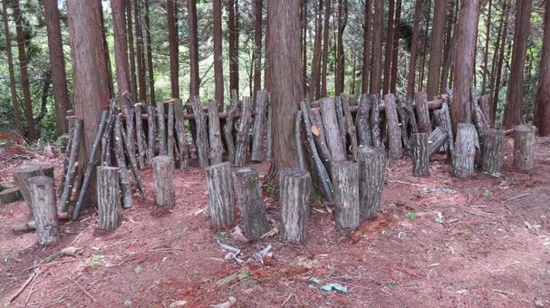Photo, shiitake mushroom, log cultivation, mushroom, 
