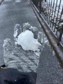 雪 雪の写真