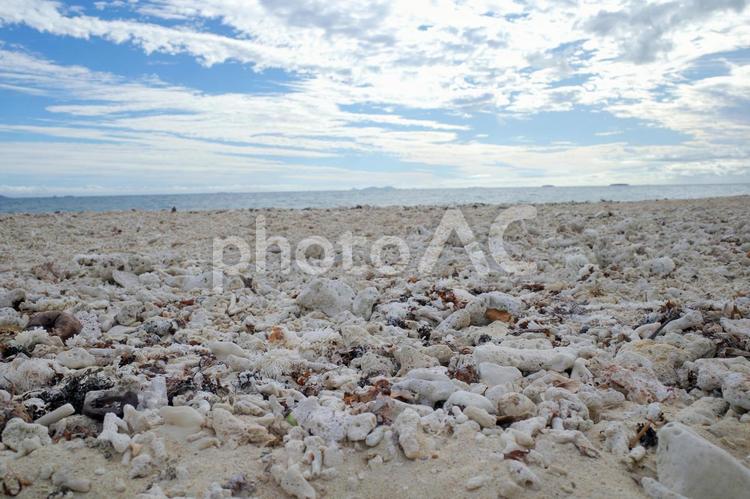 フィジーの青い空と珊瑚のあるビーチ フィジー,オセアニア,海の写真素材