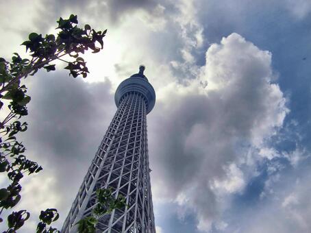 曇り日の東京スカイツリー-173 東京スカイツリー,曇り日,かすみの写真素材