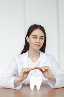 歯の模型を守る女性　カメラ目線 歯科,医療,予防の写真素材