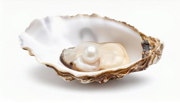 しんじゅの写真