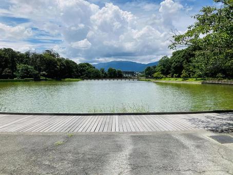Photo, kashihara shrine, kashihara city, nara prefecture, a shrine, 