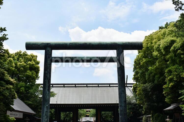 靖国神社 鳥居 靖国神社,東京都,千代田区の写真素材