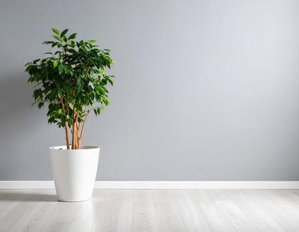 白い鉢植えとグレーの壁の背景4 白い鉢植えとグレーの壁の背景4の写真