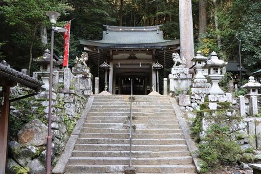 崇道神社　本殿 崇道神社,本殿,すどうじんじゃの写真素材
