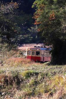 晩秋の小湊鉄道_タテ位置 晩秋の小湊鉄道_タテ位置 小湊鉄道,ローカル線,キハの写真素材