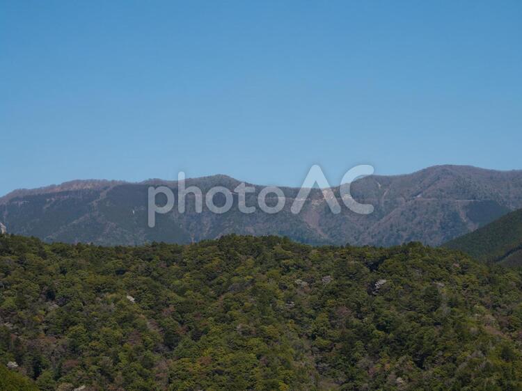 熊野地方の風景 果無(はてなし)山脈を中辺路町広見川から撮影 熊野地方の風景 果無(はてなし)山脈を中辺路町広見川から撮影 熊野古道,熊野,果無山脈の写真素材