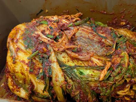 自家製キムチ キムチ,激辛,辛いの写真素材