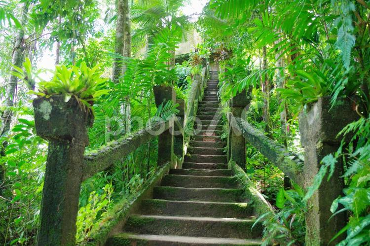 自然の中の遺跡　nature bridge 遺跡,自然,オーストラリアの写真素材