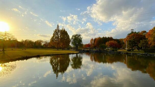 紅葉の北部公園（金沢） 紅葉,秋,公園の写真素材