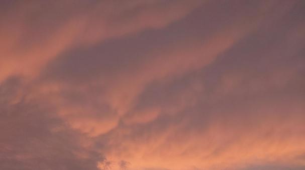 夕方の雲 夕方の雲の写真