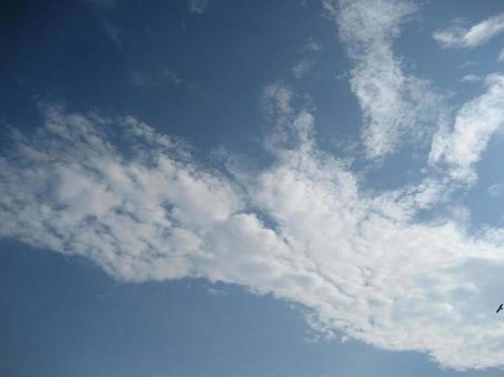 青空 青空の写真