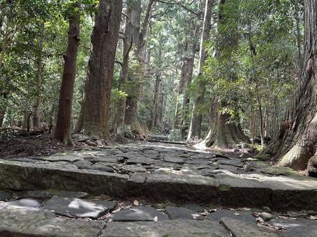熊野古道にて 自然,石畳,熊野古道の写真素材